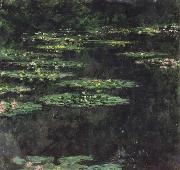 Water-Lilies